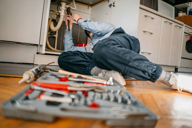 Best Local Plumber Services  in Dubuque, IA