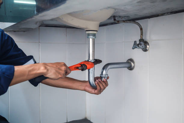 Best Sprinkler Systems  in Dubuque, IA